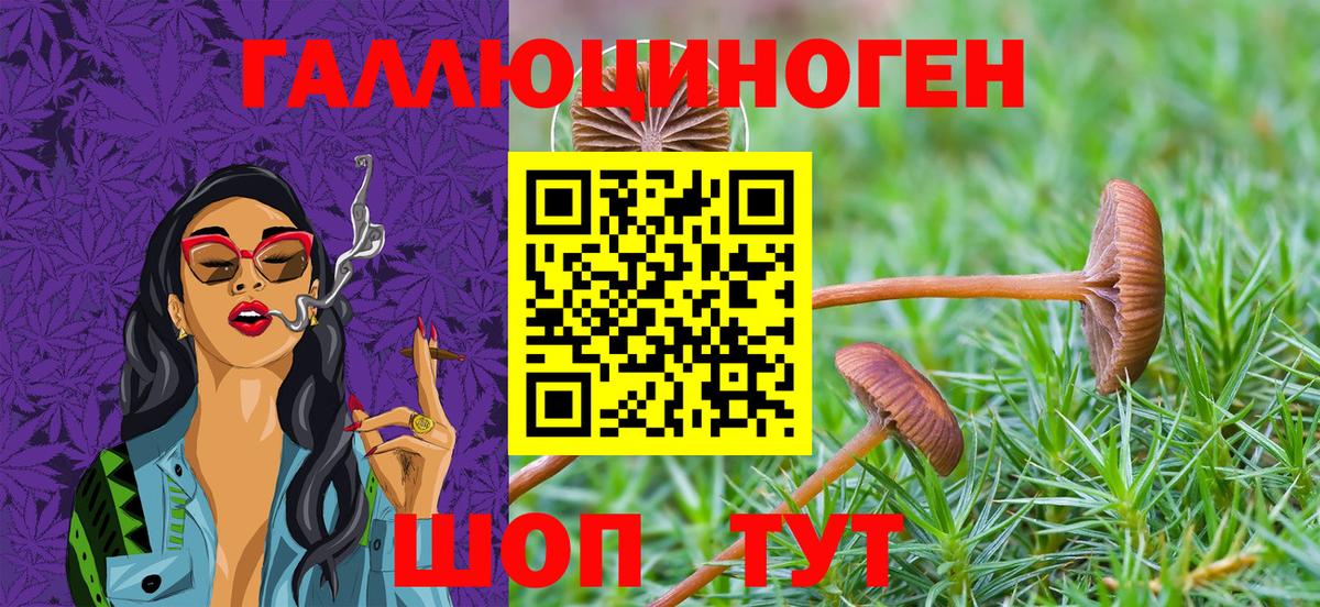 Галлюциногенные грибы GOLDEN TEACHER  Галлюциногенные грибы ЛСД  Вход с VPN  Лесосибирск 
