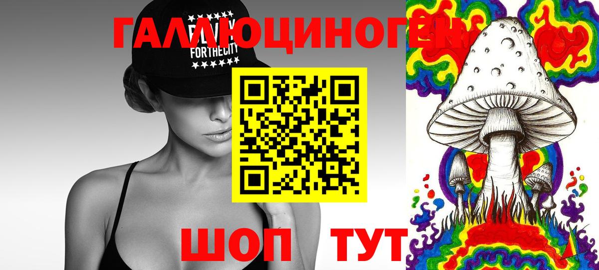Галлюциногенные грибы Cubensis Лесосибирск