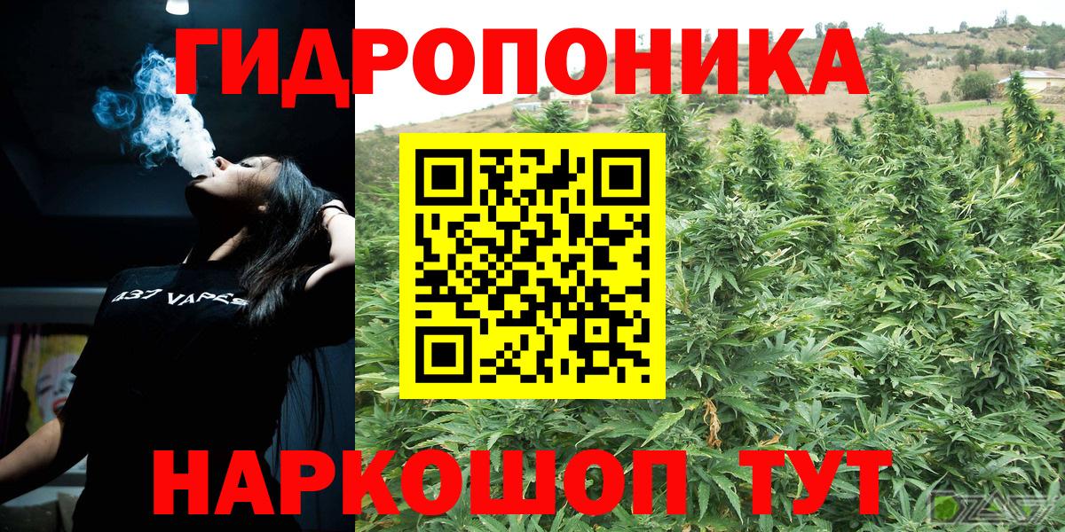 Конопля Bruce Banner Лесосибирск